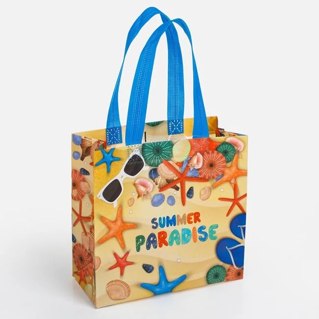 Punga Cadou Sacosa Multifunctionala PP 22x10x21,5cm